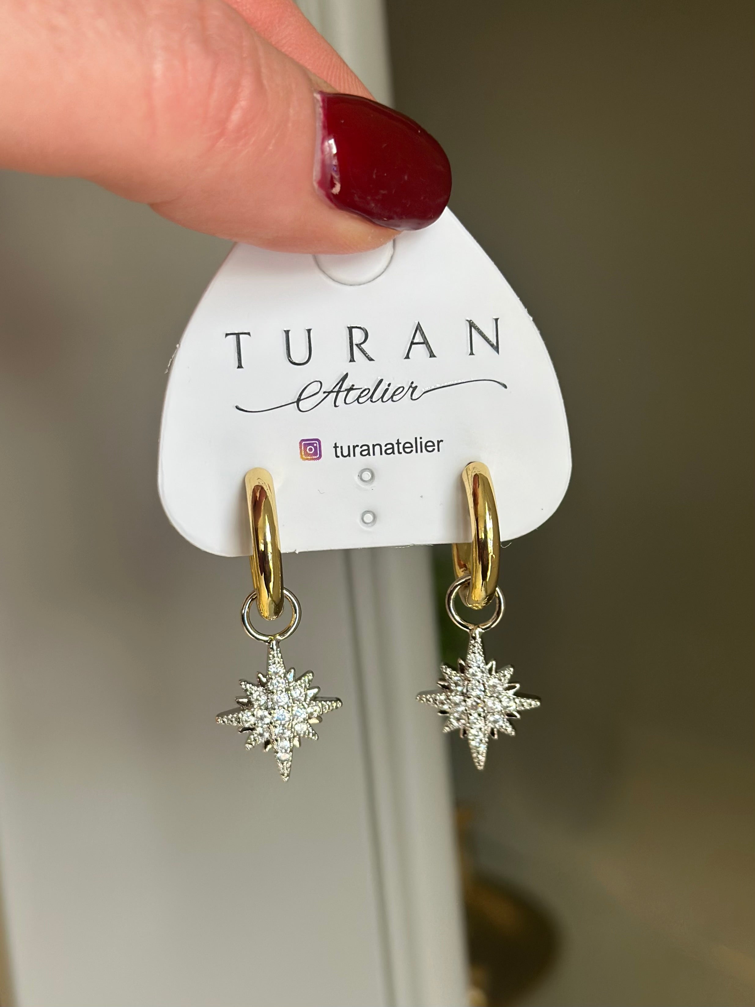 Zirkon Kuzey Yıldızı Küpe