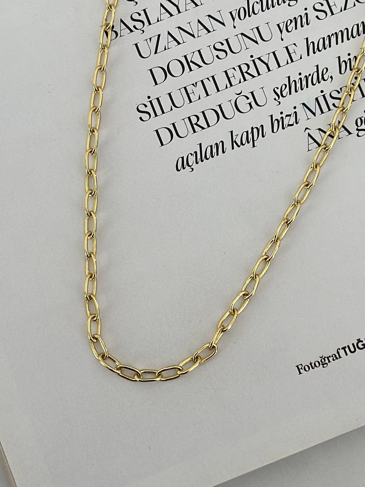 14K Renk Altın Model İnce Ataç Zincir Kolye