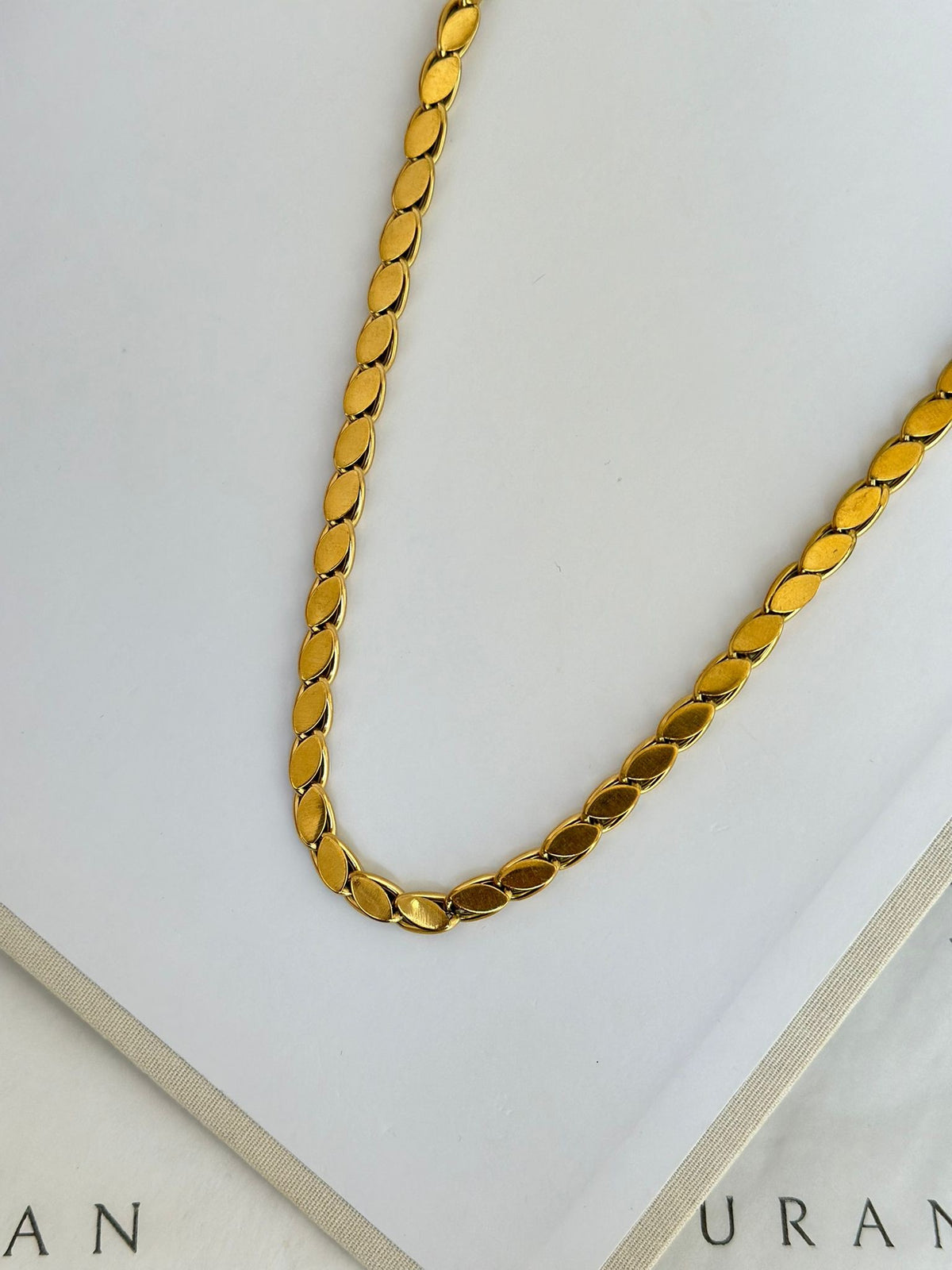 Arpa Zincir Çelik Kolye