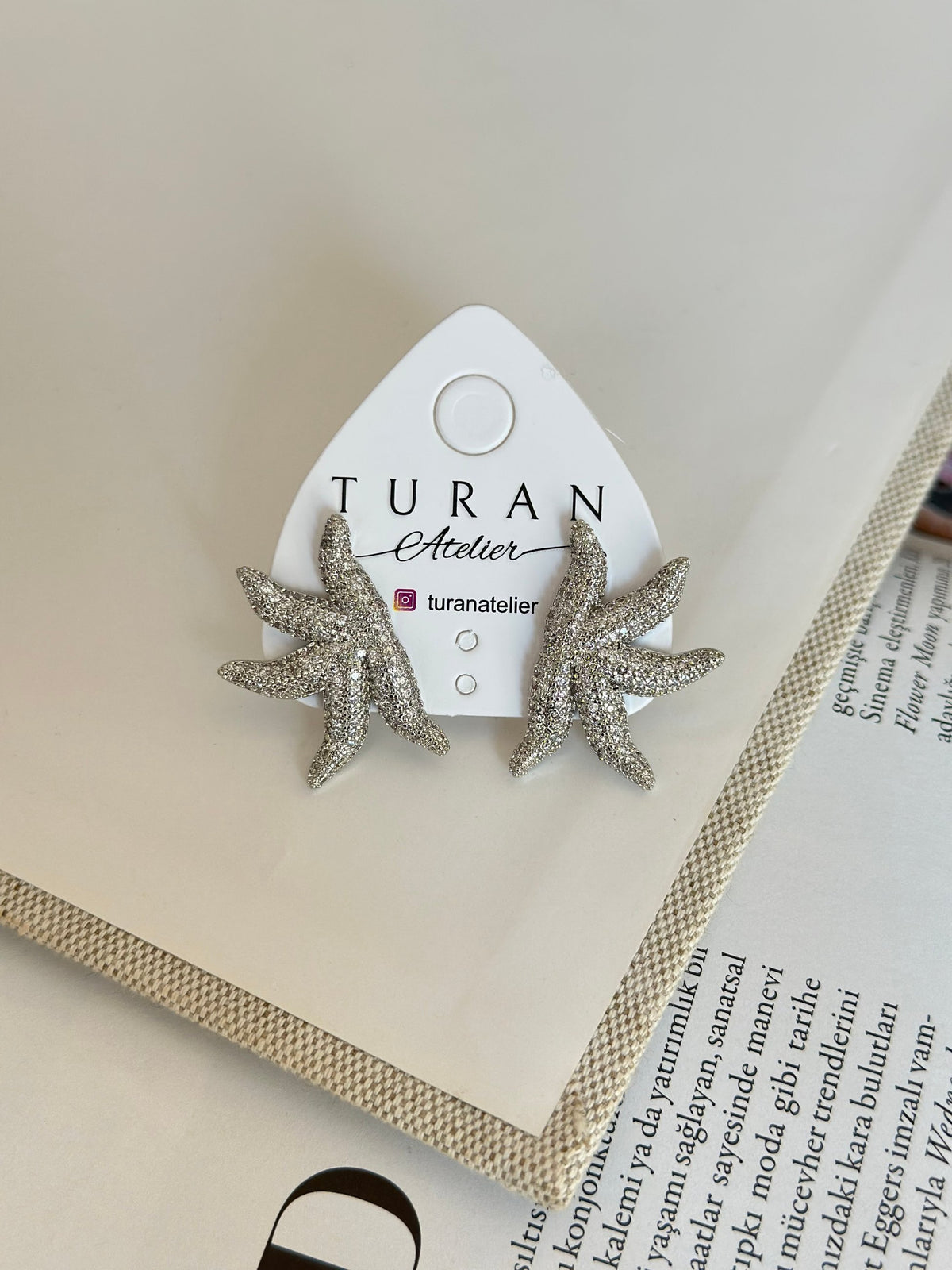 Gümüş Renk Deniz Yıldızı Küpe