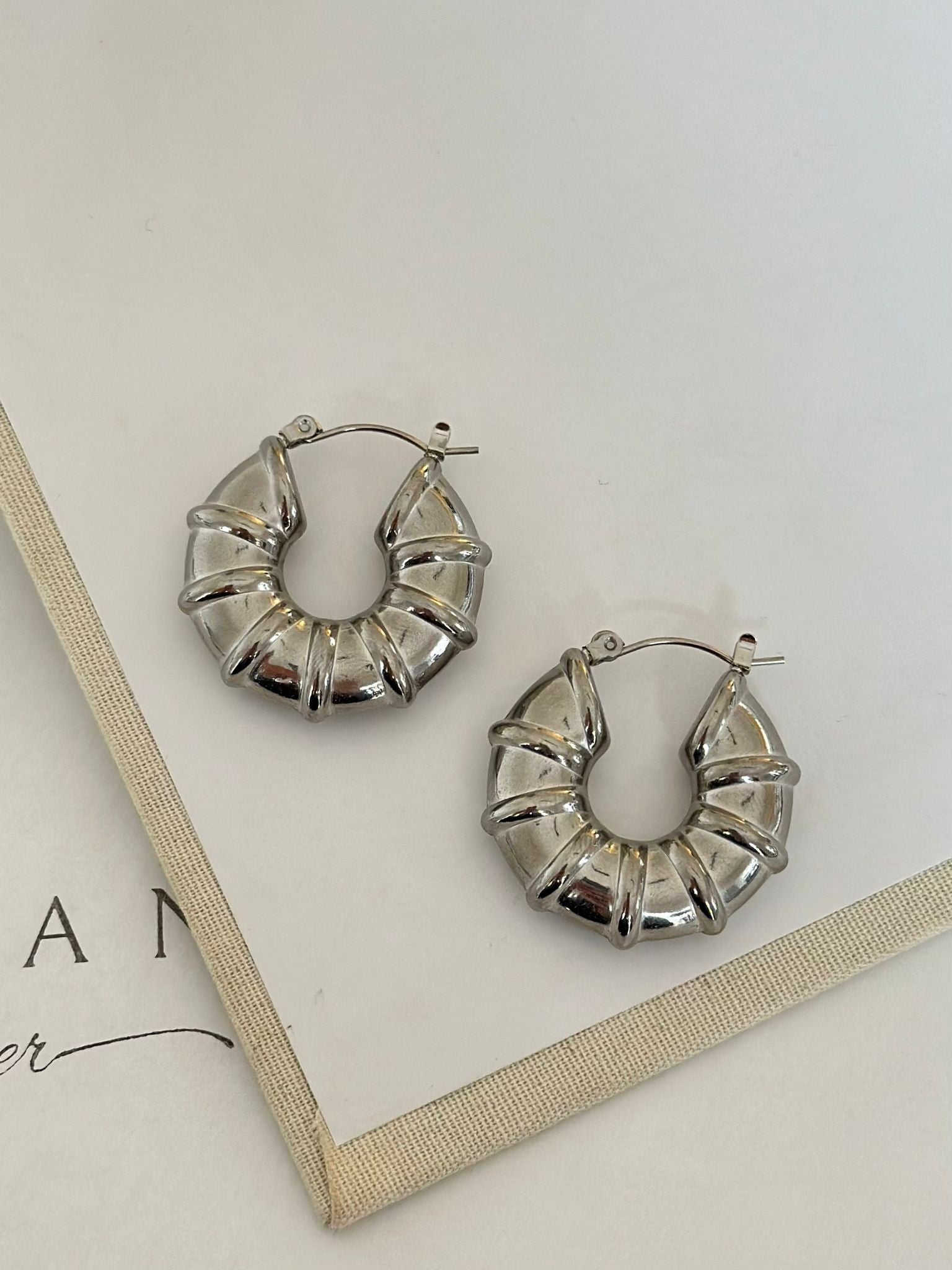 Gümüş Renk Salyangoz Küpe