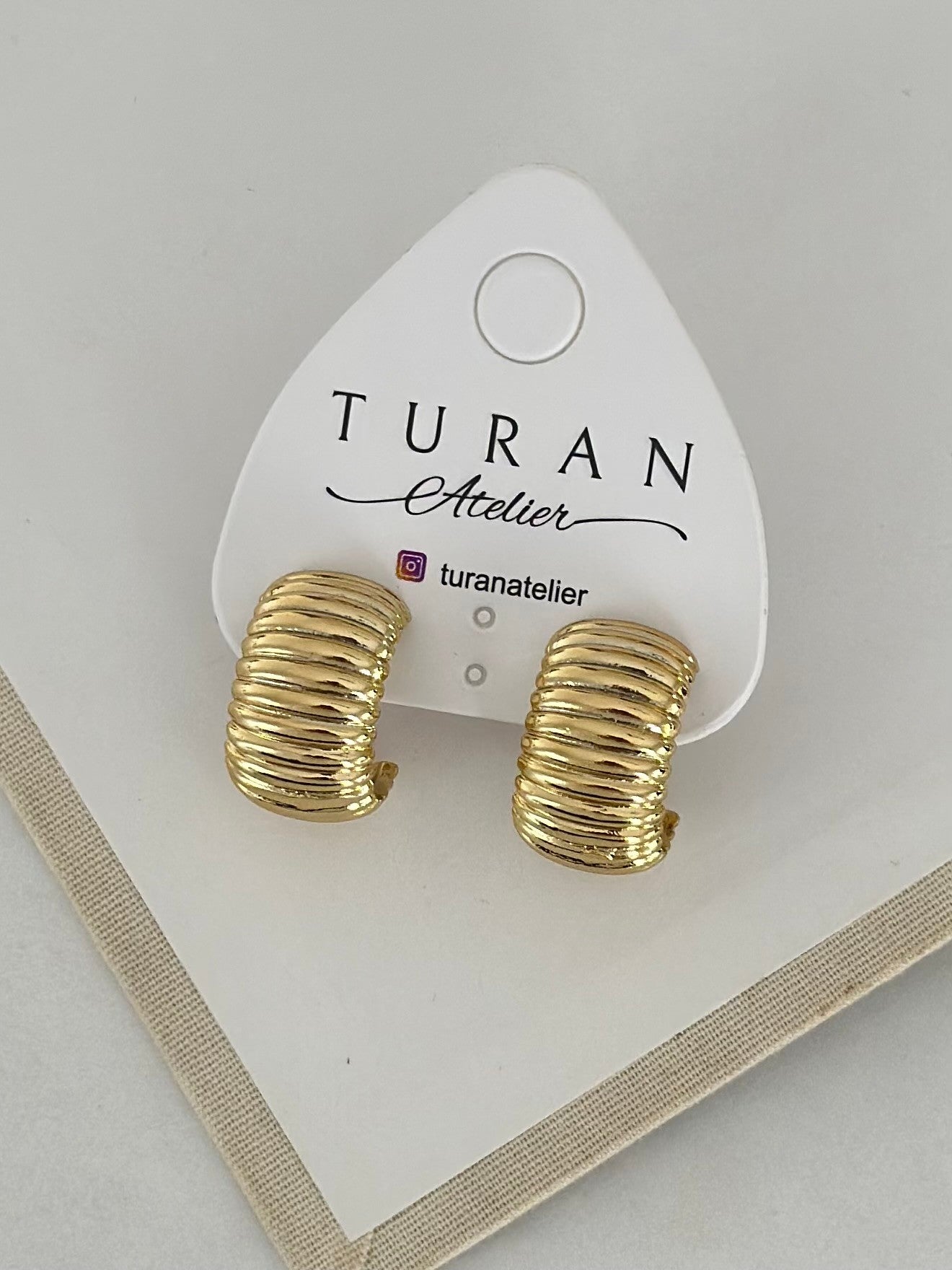 14K Renk İstiridye Küpe
